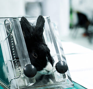 Does “Cruelty-Free” mean 100% not tested on animals? No, it doesn't.
